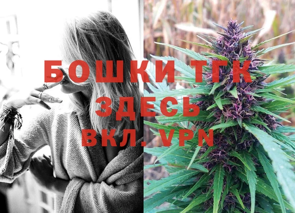 тгк Лиски