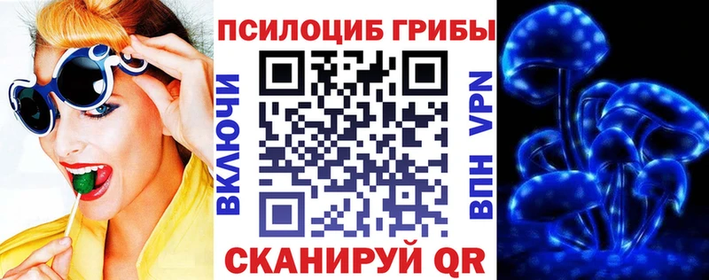 цены наркотик  Ливны  Псилоцибиновые грибы мухоморы 